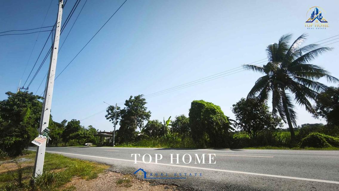 📍ขายที่ดินจัดสรรแปลงสวย ถมแล้ว 150 ตร.ว ตำบลบางเตย อำเภอสามโคก จังหวัดปทุมธานี📍 8