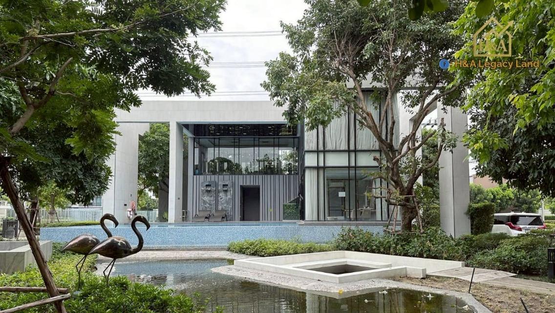 บ้านกลางเมือง พระราม 9 - กรุงเทพกรีฑา: ทาวน์โฮมทำเลดี ราคาเพียง 4.19 ล้านบาท! ทาวน์โฮม 3 ชั้น แบบ Terraria 19