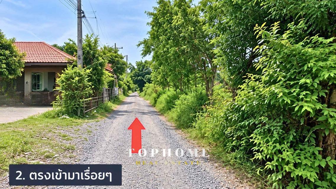 ขายด่วน! ที่ดินเปล่า ซอยแบนชะโด 2 ✨ที่ดินถมแล้ว 📍เขตคลองสามวา กรุงเทพมหานคร 3