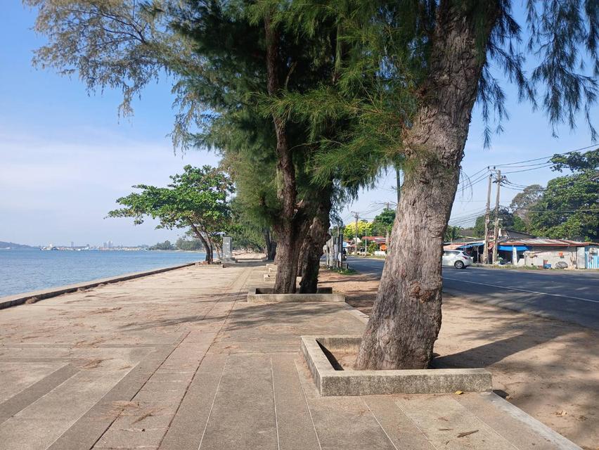 ที่ดินห่างชายทะเลหาดสวนสน จ.ระยอง 500 เมตร 7