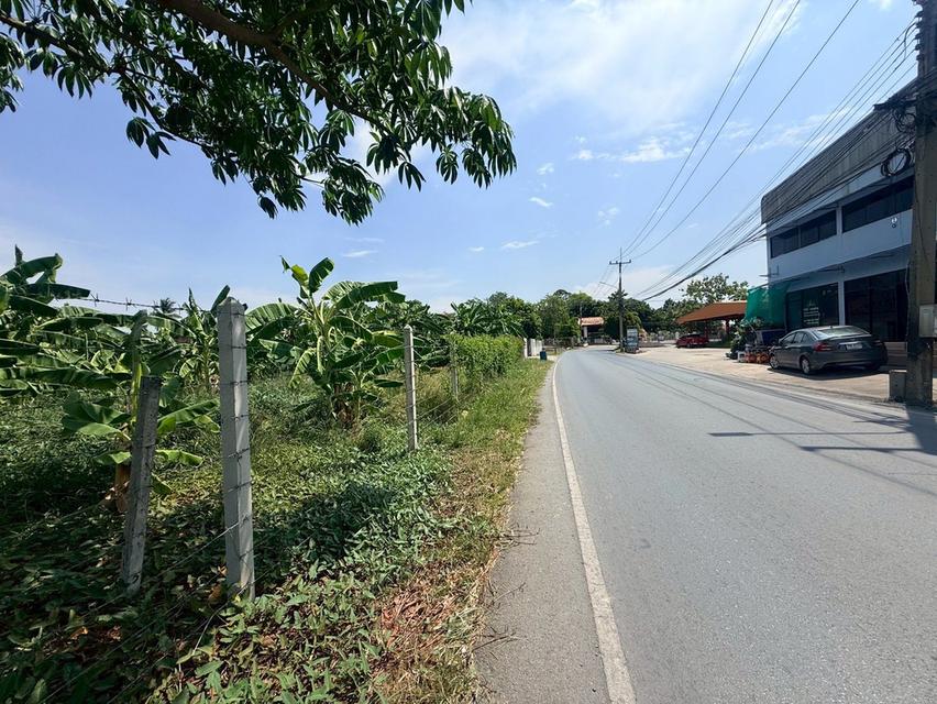 ขายด่วนที่ดินใกล้วัดอ้อมใหญ่ 367 ตรว ติดถนนสาธารณะ ซ.วัดเทียนดัด(อ้อมใหญ่ ) สามพราน นครปฐม 8