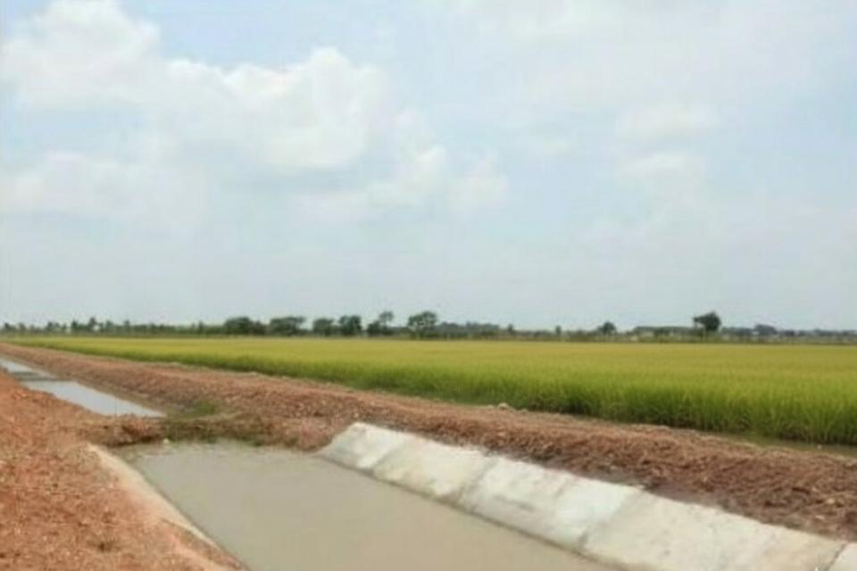ขายที่ดิน เนื้อที่ 94-0-95 ไร่ อ.พนัสนิคม ใกล้โรงพยาบาลส่งเสริมสุขภาพตำบลหัวถนน 4