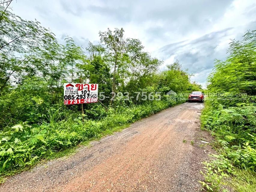 ขายที่ดิน ย่านหนองจอก ถนนคู้-คลองสิบ14 ซอยสวัสดิการแลนด์ แปลงมุม พื้นที่ 103.9 ตารางวา ราคาพิเศษเพียง 750,000 บาท บรรยากาศดี เงียบสงบ พื้นที่สีเขียว 5