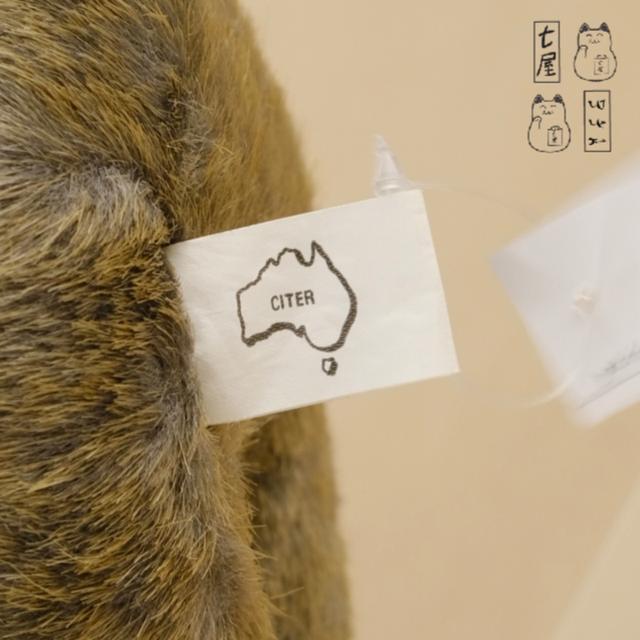 ตุ๊กตา VGT Old Fur สัตว์ออสเตรเลีย・วอมแบต・ขนเก่า 🐨 Wombat Plush ・Standard・Seated Layout・18 cm・CITER Souvenirs・Australian Plush รูปที่ 8