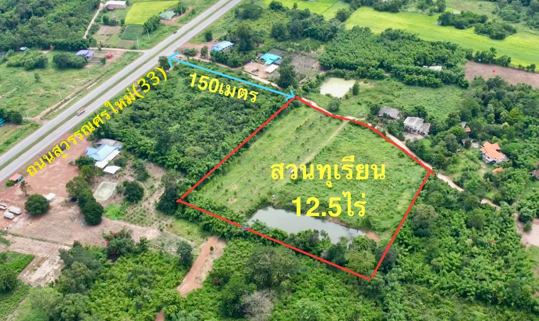 ขายสวนทุเรียน12.5ไร่ๆละ9แสนบาท อ.เมือง จ.ปราจีนบุรี โทร0813763803 1