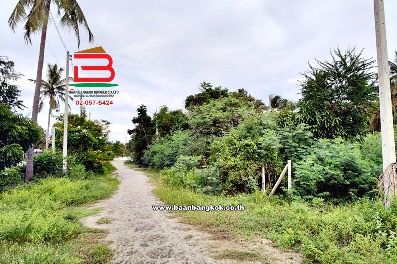 ที่ดินเปล่า ซอยสามร้อยยอด 23 เนื้อที่ 330 ตร.ว (ใกล้หาดสามร้อยยอด) ถนนเพชรเกษม ตำบลสามร้อยยอด อำเภอสามร้อยยอด จังหวัดประจวบคีรีขันธ์ 6