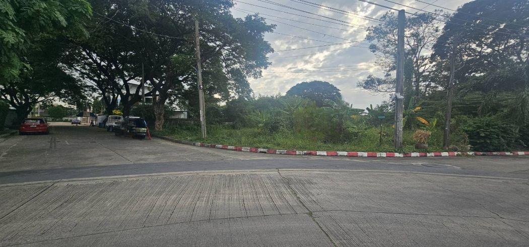 ขาย ที่ดิน ซอย1หมู่บ้านรวมเก้า 236 ตร.วา พุทธมณฑลสาย2 ซอย11 บางแค กทม 2