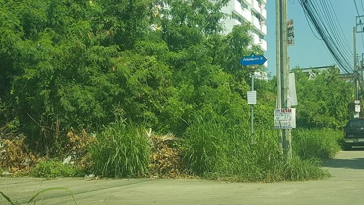 ขายที่ดิน 424 ตรว. ติดถนนพัฒนาการ78 ใกล้ถนนพัฒนาการตัดใหม่ ถนนเฉลิมพระเกียรติ และถนนอ่อนนุช 1