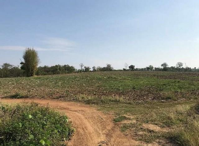 ขายที่ดิน646ไร่ รวม84ล. ฟรีโอน ลดไร่ละ130,000บ. แยกขาย106ไร่ได้ ถนนลาดยาง ไฟฟ้า ใกล้วัดพระพุทธบาทห้วยต้ม บ้านห้วยต้ม ต.น 4