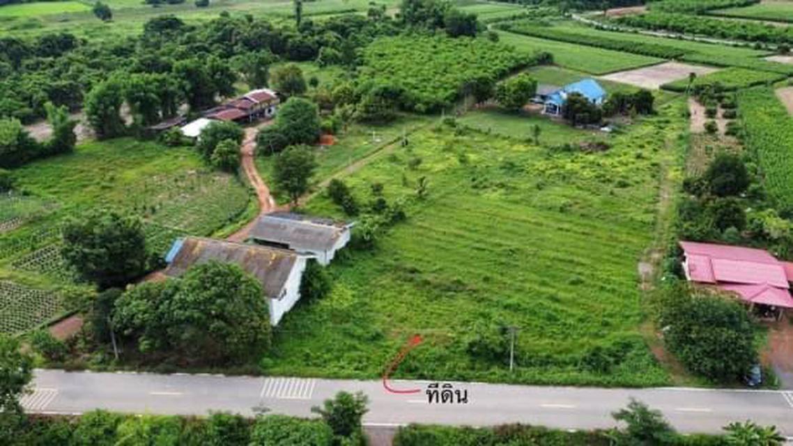 รูป L791 ขายด่วนที่ดินสวย 2 ไร่ จากถนนสุวรรณศรสายใหม่ เพียง 50 เมตร ใกล้ตลาดต้นไม้ดงบัง ปราจีนบุรี