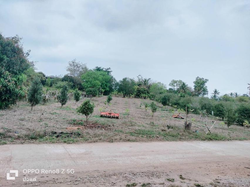 ขายที่ดินเปล่าวิวภูเขาธรรมชาติ 4