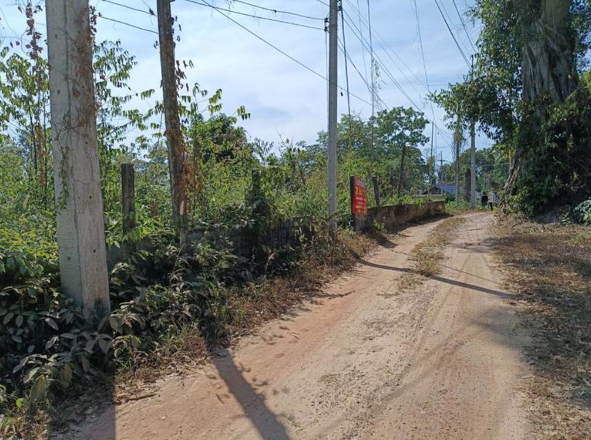 ขายที่ดิน โฉนด ติดร้านอาหารครัวริมบึงโง้ง เนื้อที่ 200 ตร.ว. 7