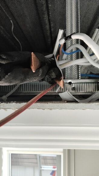 ช่างแอร์สุเหร่าคลองหนึ่ง ล้างแอร์ปัญญาอินทรา ซ่อมแอร์หทัยราษฎร์ ย้ายแอร์คู้บอน ติดตั้งแอร์คลองสามวา