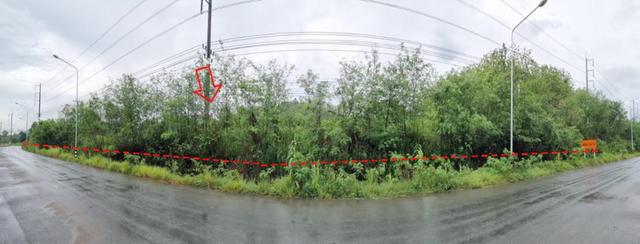ประกาศขายที่ดินแปลงใหญ่ ติดถนนใหญ่ จันทบุรี – สระแก้ว (ทล.317) 5