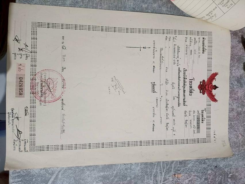 ที่ดิน1ไร่ ถมแล้ว2งาน โฉนดครุฑแดง 350000  ที่อำเภอบางระกำ บ้านบางชัน สนใจ'โทร 0617752496 2