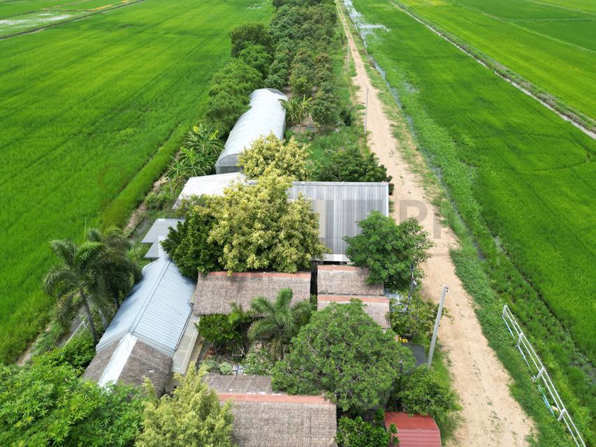 ขาย ที่ดินจัดสรร ลำลูกกา คลอง16 องครักษ์ 14