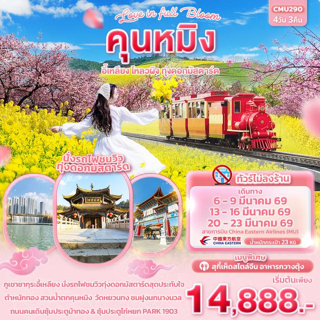 ทัวร์คุนหมิง อี้เหลียง โหลวผิง ทุ่งดอกมัสตาร์ด 4วัน 3คืน