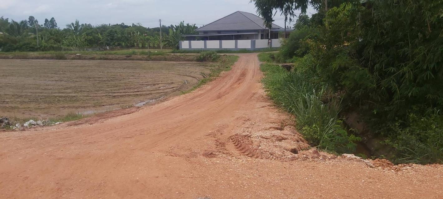 ที่ดินโซนพุทธมณฑลอีสานขอนแก่น 2