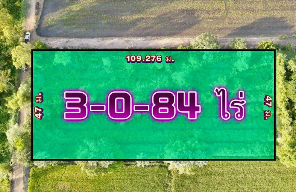 ข️ายที่ดินบึงกาสาม 3 ไร่ คลอง11 ใกล้ถนนเส้น5021-9.5กม. อ.หนองเสือ ปทุมธานี 3