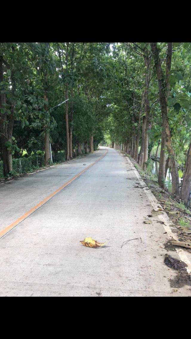 ที่ดินวิวภูเขา ใกล้เมืองเชียงใหม่ ทำเลหายากบรรยากาศเหมือนรีสอร์ส่วนตัว 6