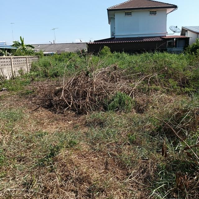 ที่ดินท่าไข่ฉะเชิงเทรา 9