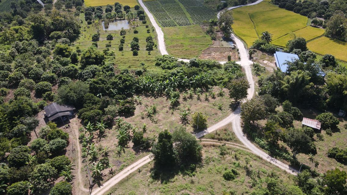 🌳ขายที่ดินเจ้าของขายเอง ด่วน📌 17