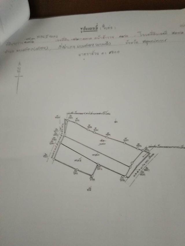    ขายด่วน ที่ดินเปล่า 12-3-21 ไร่ ในซอยวัดบัวโรย ต.บางเสาธง อ.บางเสาธง จ.สมุทรปราการ  6