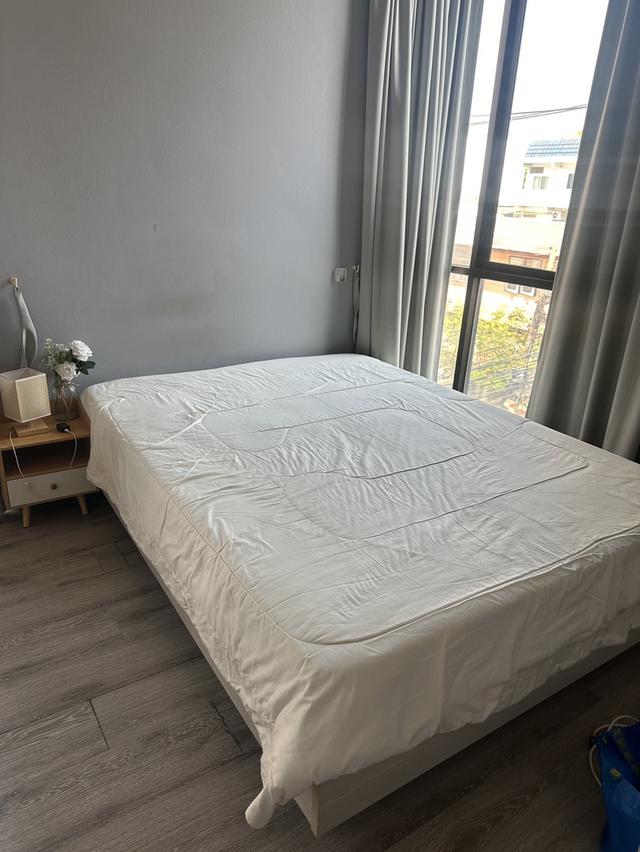 **ขายคอนโด Dolce Udomsuk (โดว์เช่ อุดมสุข)** ???? ห้องมุม สวย พร้อมอยู่ ราคาดีที่สุดในโครงการ 1