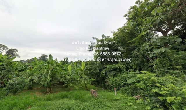 DSL-1015 ขาย ที่ดิน ขายที่ดินเปล่า 2-0-64.1 ไร่ ท่าโพธิ์ จ.พิษณุโลก ราคา 1.60 ล้านบาท 1600000 บาท 2 ไร่ 864 ตร.วา ใกล้กั 7