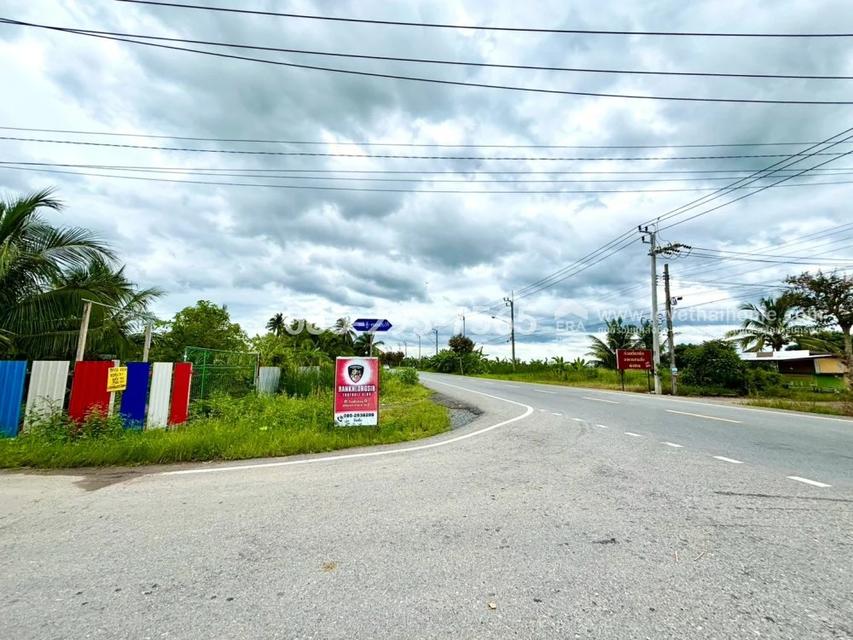 ขายที่ดิน ย่านหนองจอก ถนนคู้-คลองสิบ14 ซอยสวัสดิการแลนด์ แปลงมุม พื้นที่ 103.9 ตารางวา ราคาพิเศษเพียง 750,000 บาท บรรยากาศดี เงียบสงบ พื้นที่สีเขียว 12