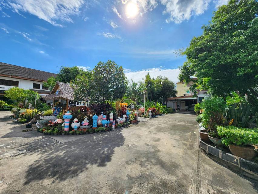 ขายที่ดินใจกลางเมือง เนื้อที่ 2 ไร่เศษ ซ.โชคชัยร่วมมิตร(ซ.รัชดาภิเษก 19 หรือ ซ.วิภาวดี 16) ลาดยาว จตุจักร กทม. 12