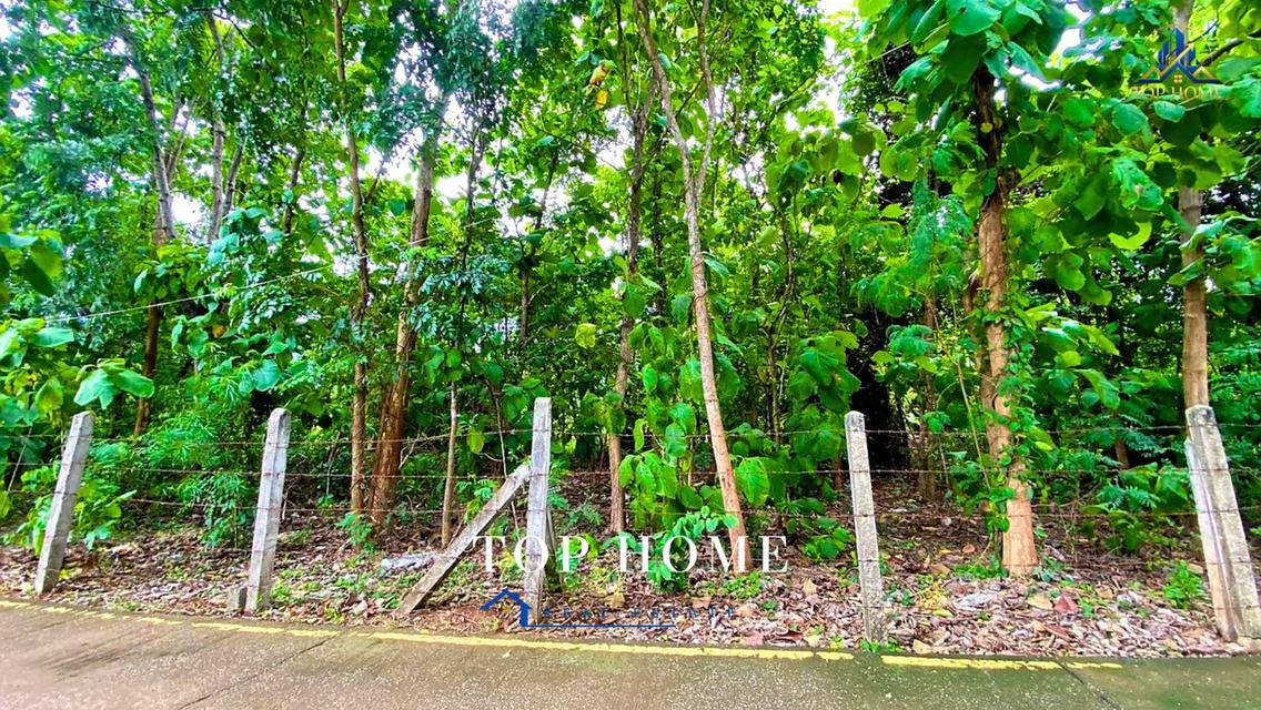 🔥 ขายด่วน! ที่ดินเปล่าแปลงใหญ่ บ้านห้วยหล่อ ตำบลชมพู อำเภอเมือง จังหวัดลำปาง 6