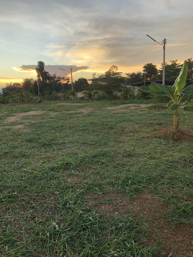 ขายที่ดิน 4 ไร่ พร้อมบ้านสวน ติดทางหลวง (ทล.1272 เมืองเก่า-คีรีมาศ) ใกล้อุทยานประวัติศาสตร์สุโขทัย  9