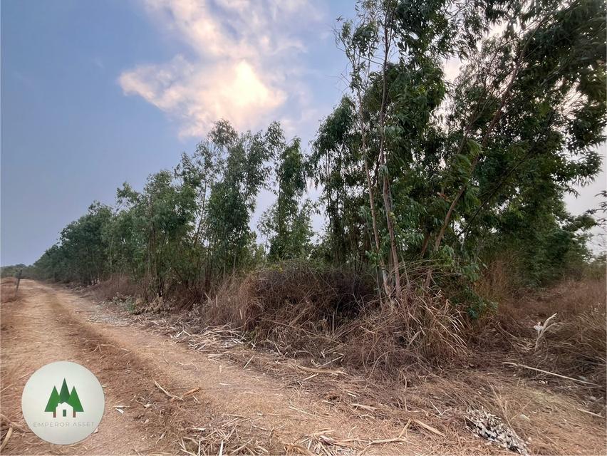 ขายที่ดินโฉนด ตำบลอ่างหิน อำเภอปากท่อ  จังหวัดราชบุรี ️ เนื้อที่ 144 ไร่ 97 ตารางวา  ราคาไร่ละ 350,000 บาท 9