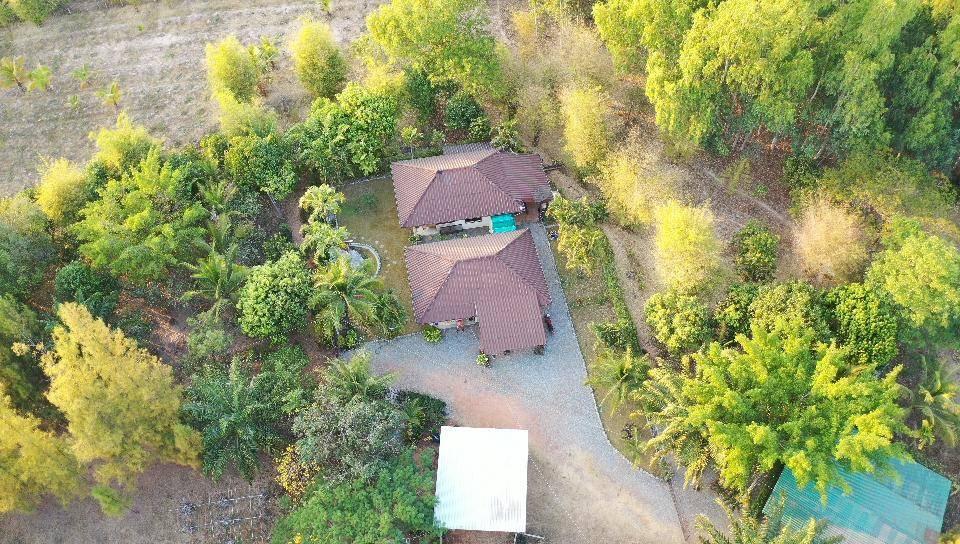 ขายที่ดินติดเขื่อนลำปาว กาฬสินธุ์ พื้นที่รวม 55 ไร่ เหมาะพัฒนารีสอร์ทหรือโครงการท่องเที่ยว 2