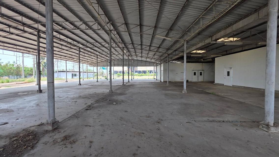ขายโกดัง Isowall 1,600 ตร.ม. ติดถนนใหญ่ป่าซาง-ลำพูน สภาพพร้อมใช้งานได้ทันที 2