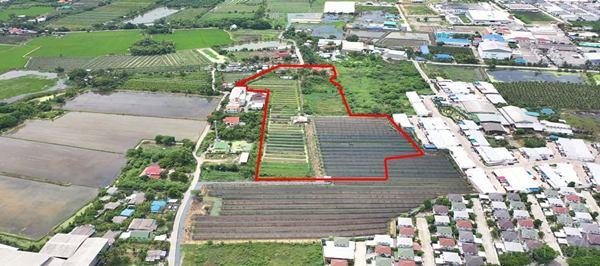 ขายที่ดิน 23 ไร่ อนาคตดีใกล้ตัดใหม่กัลปพฤกษ์-กระทุ่มแบน พุทธสาครและเศรษฐกิจ ในราคาที่จับต้องได้ - KK1946S 2