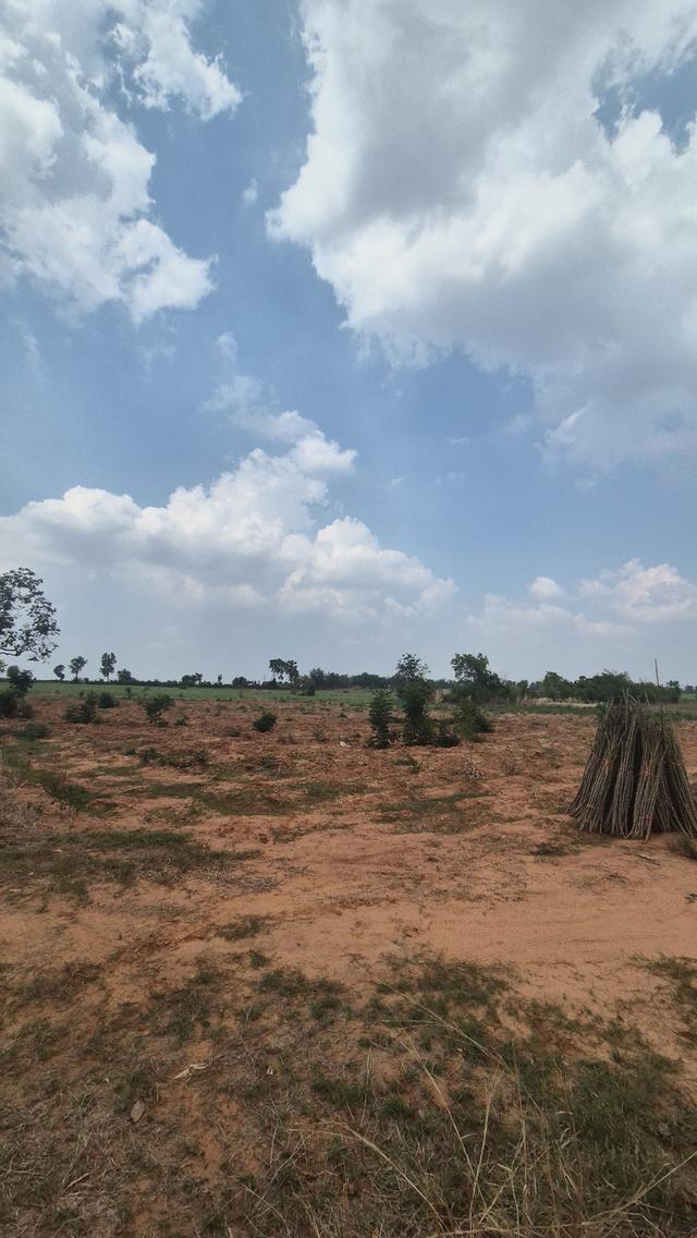 ขายที่ดิน 83 ไร่ ไร่ละ150,000 บาทต.พังเทียม อ.พระทองคำ จ.นครราชสีมา ที่ดินแปลงใหญ่ ทำเลดี เหมาะทำเกษตร รีสอร์ต หรือเก็งกำไรในอนาคต ✅ สามารถแบ่งขายได้ 4