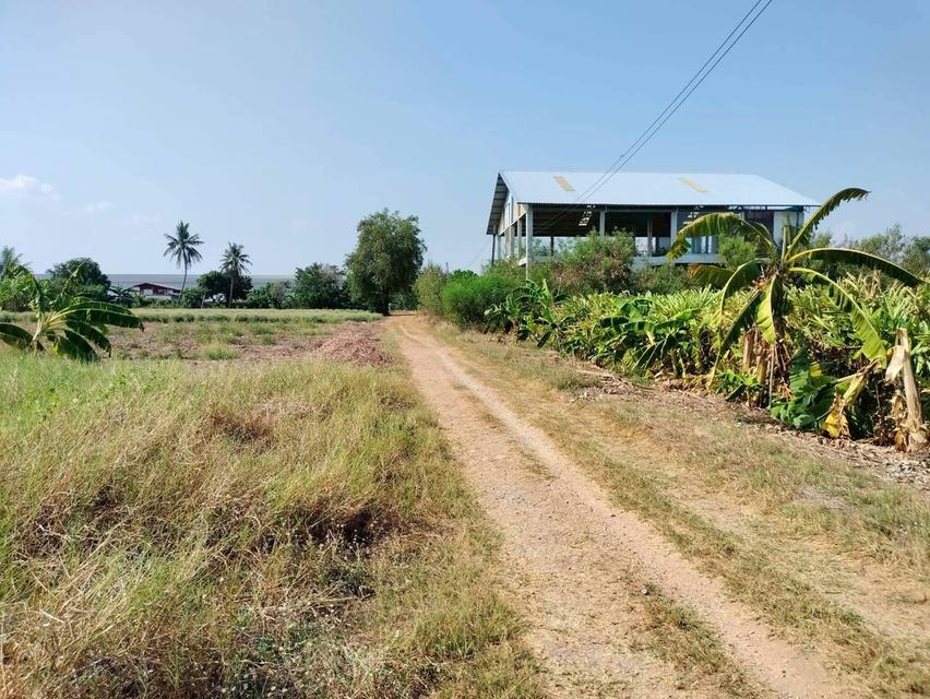 ขายด่วนที่ดิน 158 ตรว เหมาะสร้างบ้านสวน บางระกำ บางเลน นครปฐม 2