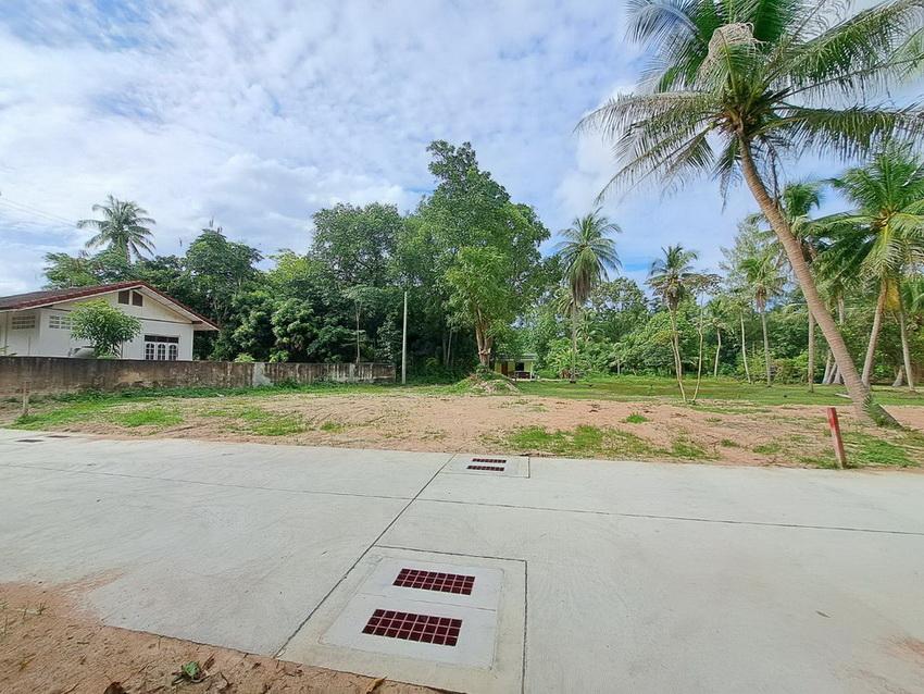 ขายที่ดินบางละมุง 200 ตร.ว ตะเคียนเตี้ย ใกล้นิคมโรจนะแหลมฉบัง ชลบุรี 1