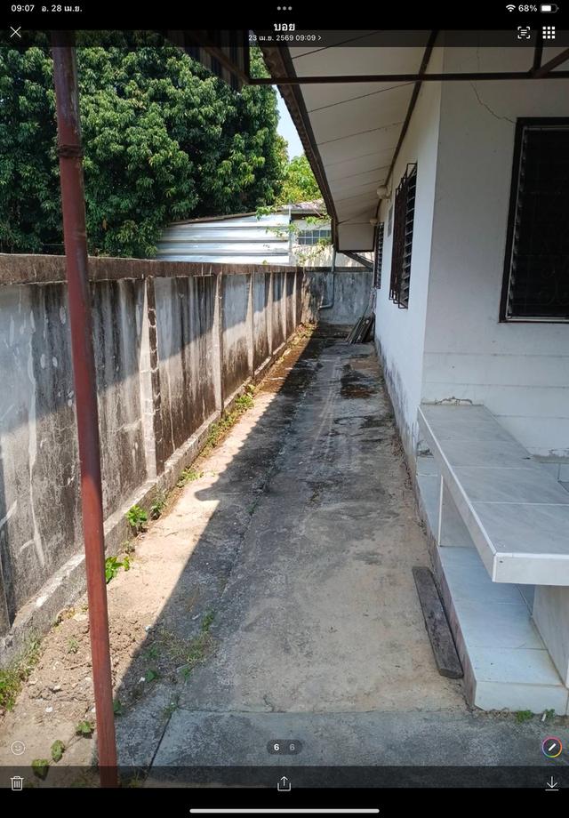 บ้านเดี่ยวชั้นเดียว หมู่บ้านข้าราชการ อำเภอแม่แตง เชียงใหม่ 5