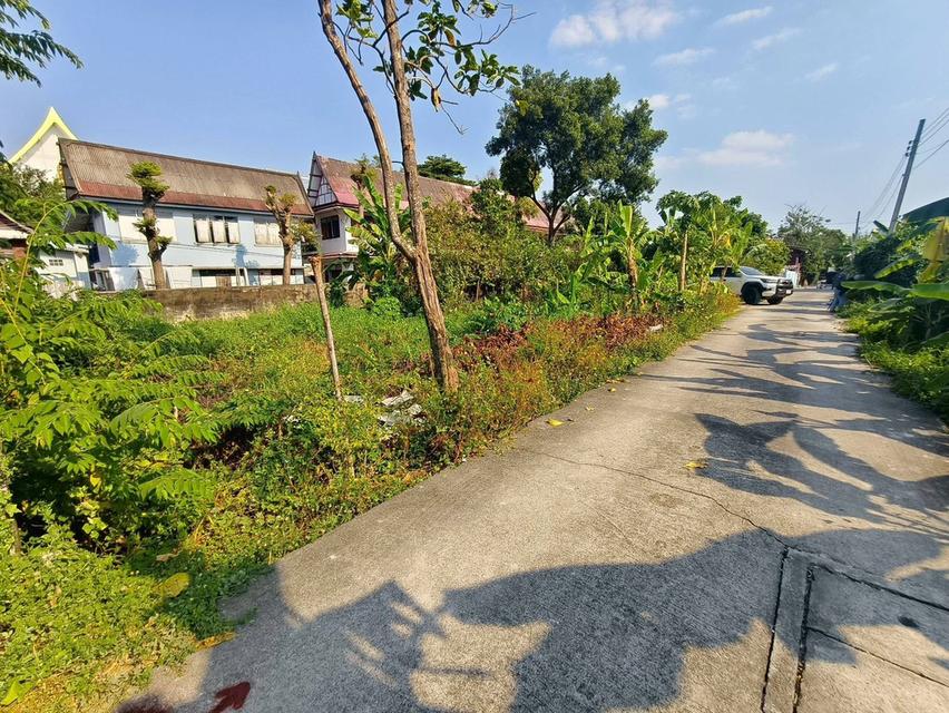 ขายถูกที่ดินใกล้วัดบัว 50 ตรว ซอยสำเร็จพัฒนา 17 ปลายบาง บางกรวย นนทบุรี 3