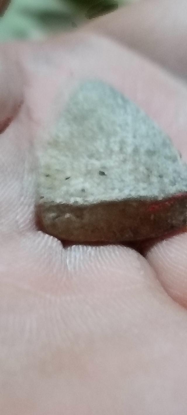 พระสมเด็จนางพญา เข่าโค้ง  8