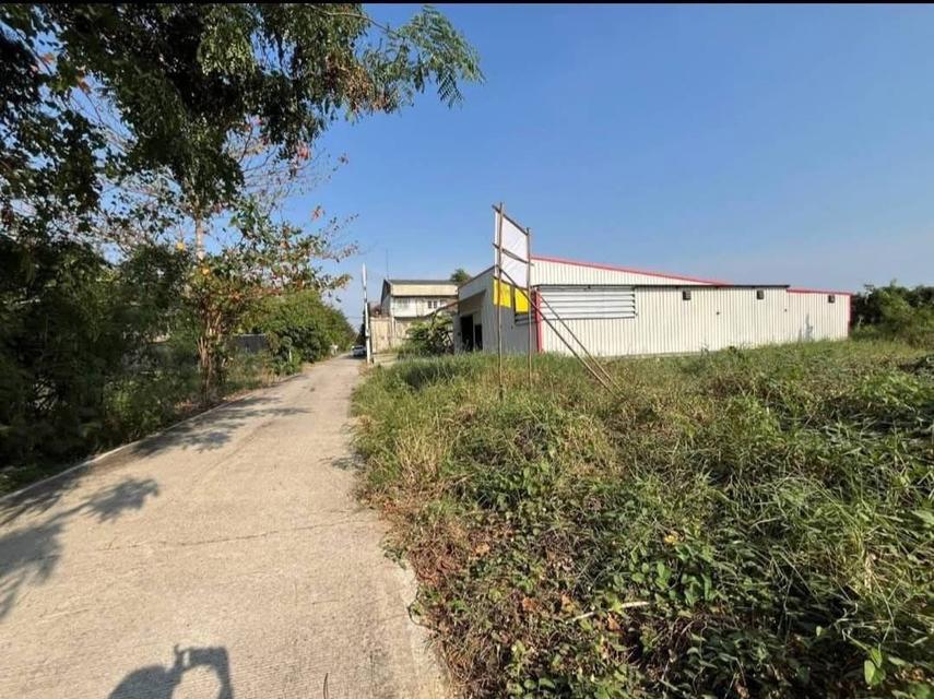 ที่ดิน 3