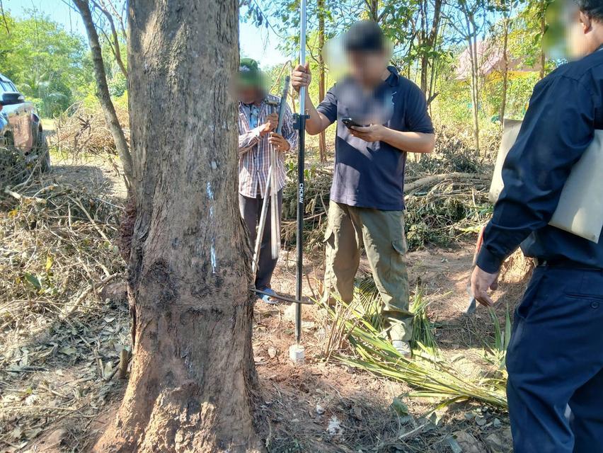 ขายที่ดินเปล่าโฉนด 1 งาน 14 ตร.ว. อยู่ในชุมชน ต.นาชะอัง อ.เมืองชุมพร ห่างศาลากลางจังหวัดเพียง 3 กม. ที่เนินปลอดภัยจากน้ำท่วม เจ้าของเองครับ 9