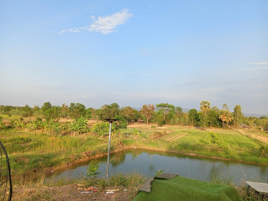 ขายด่วนที่ดินเปล่า21ไร่ ราคา3.9ล้าน ทำเลดีสวยบรรยากาศดีเหมาะทำฟาร์มรีสอร์ท อ.บ้านแท่น จ.ชัยภูมิ สนใจ0844255956 10