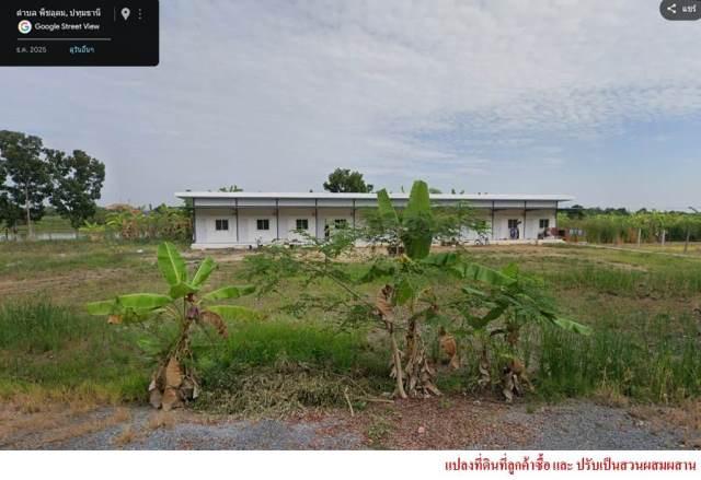 ขายที่ดินติดถนนลำลูกกา คลอง13 8