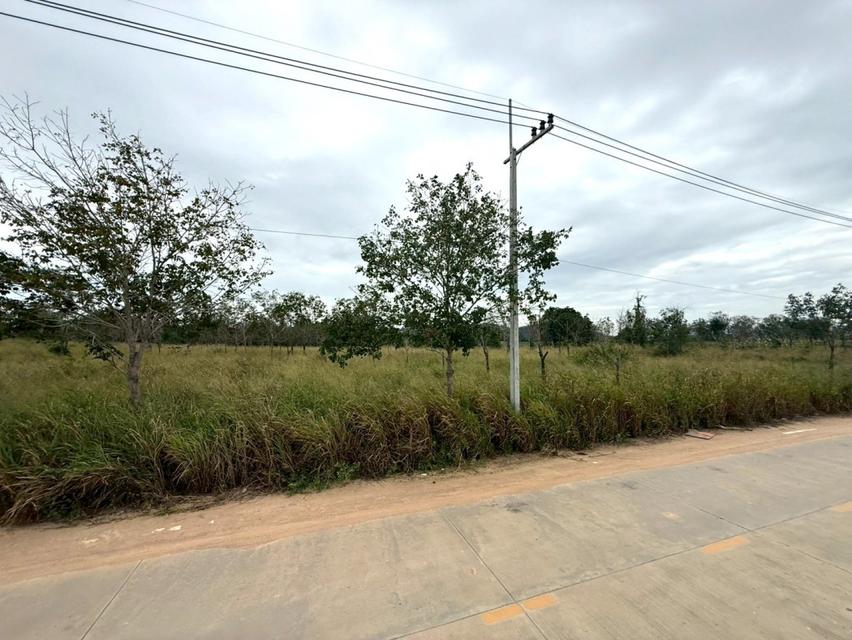 ขาย ที่ดิน ME397 แปลงใหญ่ ผัง EEC สีม่วงลาย เขาคันทรง ศรีราชา ชลบุรี ขนาด 151 ไร่ 3 งาน 49 ตรว ใกล้ ท่าเรือแหลมฉบัง ถนน 4