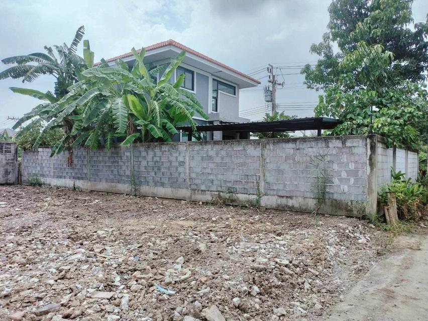 ขายที่ดิน 54 ตรว ติดถนนคอนกรีตสาธารณะ ถมแล้ว หมู่บ้านดินอุดม 7 บางบัวทอง นนทบุรี 2