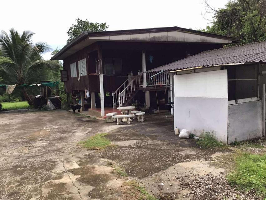 #ขายบ้านไม้ที่แม่เมาะลำปาง เป็นบ้านไม้ยกพื้นพร้อมห้องเก็บของ อยู่ในตัวอำเภอแม้เมาะ ติดถนนค้าขายได้ 2